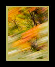 Part of series of landscapes in motion thumbnail